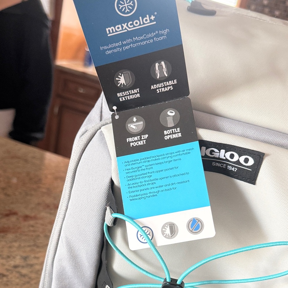 Igloo Silver and Teal Cooler Backpack - Picture 2 of 4